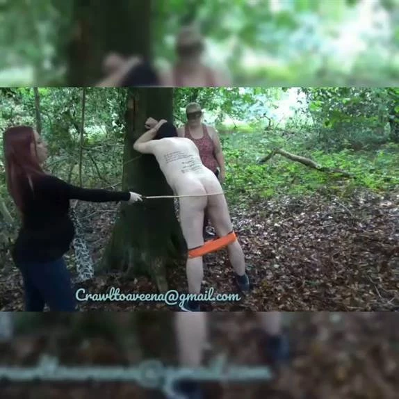 Goddess Aveena in Video Teaching My femsub how to cane (2024/MPEG-4/110 MB)