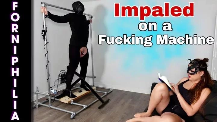 Training Zero in Video Hard Rough Anal Fucking Machine Pegging Bondage for Slave While I Relax (2025/MPEG-4/554 MB)