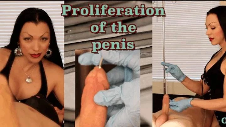 OpulentFetish - Part 1. Proliferation of the Penis (2025/MPEG-4/212 MB)