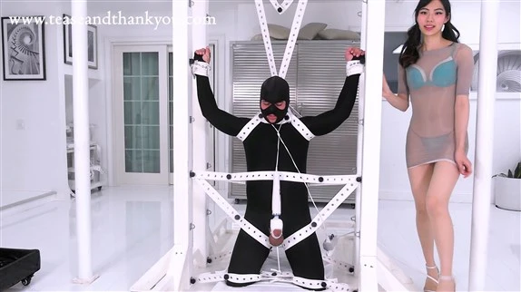 Tease and Thank You in Video Sylvie - Control Freak (2025/MPEG-4/638 MB)