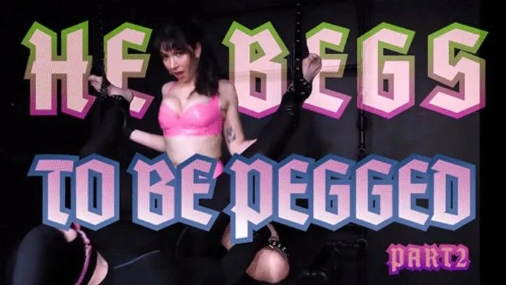 Tease and Thank You in Video Marisol Price - He Begs To Be Pegged - Part 2 (2025/MPEG-4/489 MB)