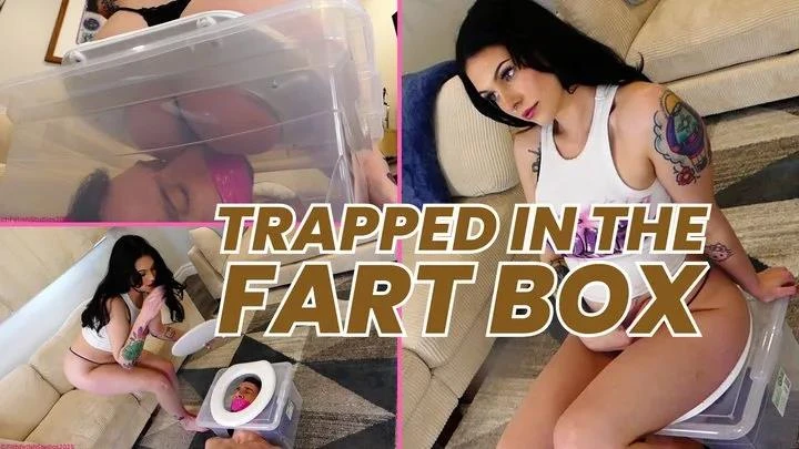 Filth Fetish Studios in Video Trapped In The Fart Box - Goddess Green (2025/MPEG-4/638 MB)