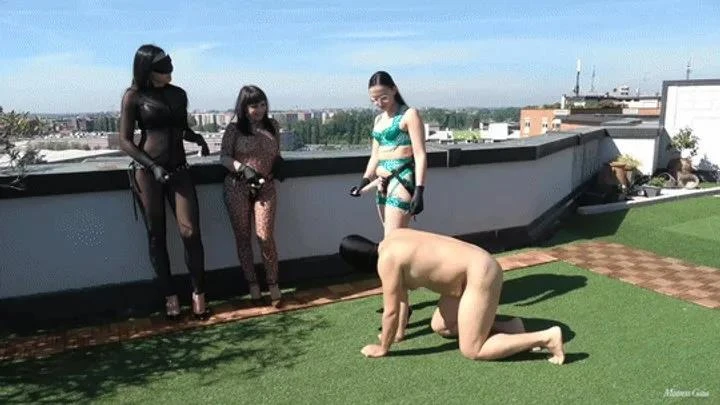 Mistress Gaia in Video You Beg To Be Fucked (2025/MPEG-4/802 MB)