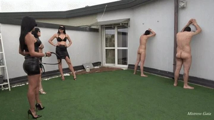 Mistress Gaia in Video Whipping The Wall (2025/MPEG-4/863 MB)