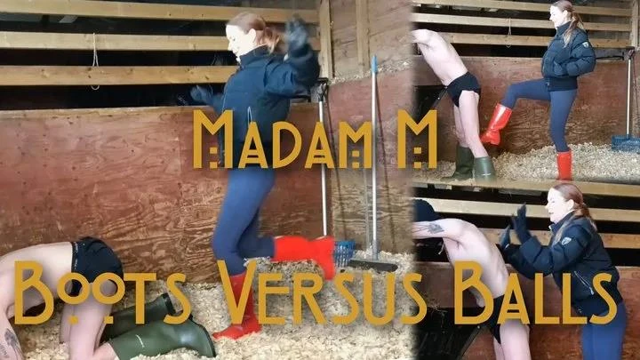Madam M in Video Boots Versus Balls extremely hard Hunters Wellingtons ballbusting in the stables (2025/MPEG-4/1.36 GB)