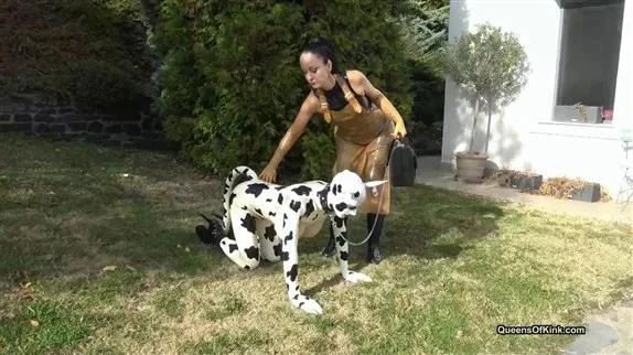 Queens of Kink in Video Latex cow inspected and fucked stage 1 - Fetish Liza and Natalie Goth TV (2026/MPEG-4/290 MB)