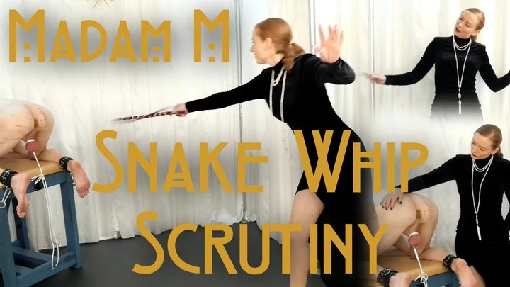 Madam M in Video Snake Whip Scrutiny - CBT extreme single tail bondage snake whipping discipline (2026/MPEG-4/986 MB)