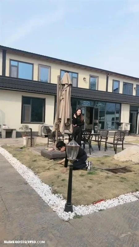 Chinese Femdom 17141 (2026/MPEG-4/317 MB)