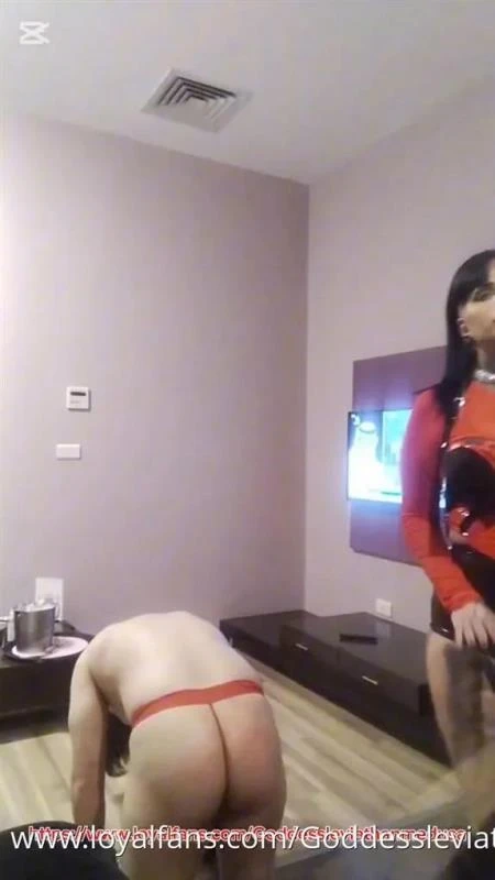 LeviathanMedusa in Video Training And Disciplining My Dogs I's The Foundation Of My Existence (2026/MPEG-4/129 MB)